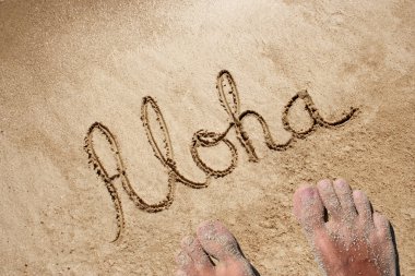 Aloha kuma plajda yazılı