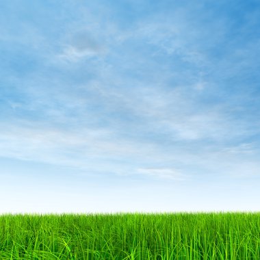  Taze ve doğal çim sahası 