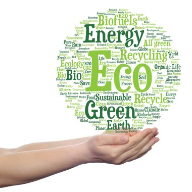  Ekoloji kelime bulutu metin 