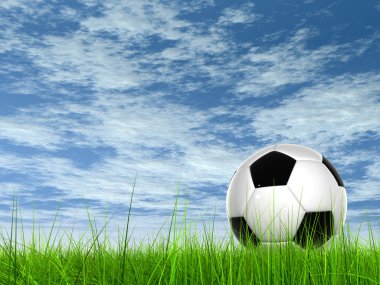çim futbol topu 