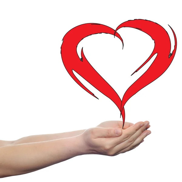 Heart held in human hands — Stock Photo, Image