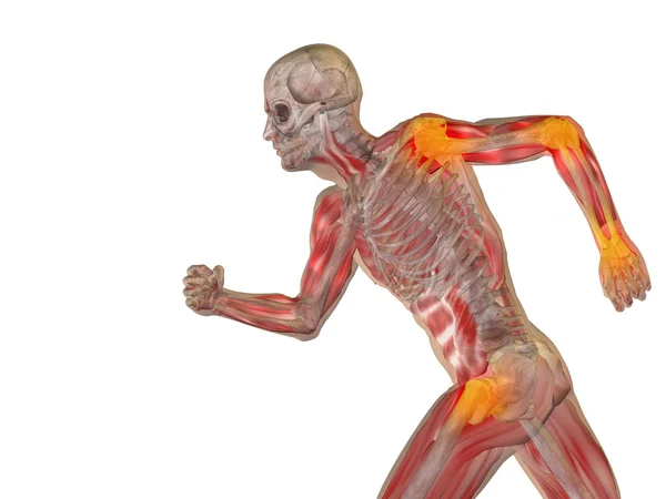 Man anatomy with  pain — Stock Photo, Image