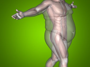  adam kilolu vs ince uygun 