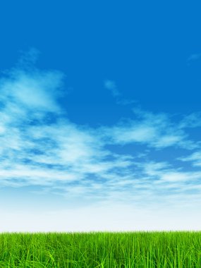  Taze ve doğal çim sahası 