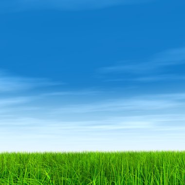  Taze ve doğal çim sahası 