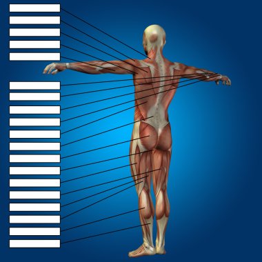 adam kasları ve metin kutuları