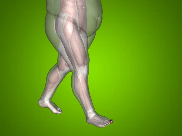 Sobrepeso vs delgado ajuste hombre — Foto de Stock