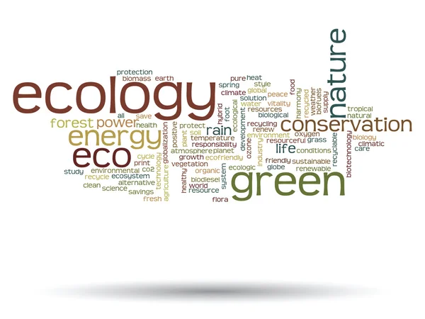 Ecologie word cloud-tekst — Stockfoto