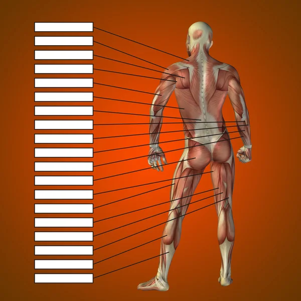 Uomo con muscoli e caselle di testo — Foto Stock