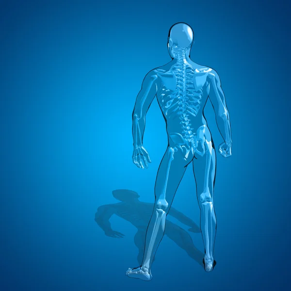 Konceptuella mänskliga skelettet — Stockfoto