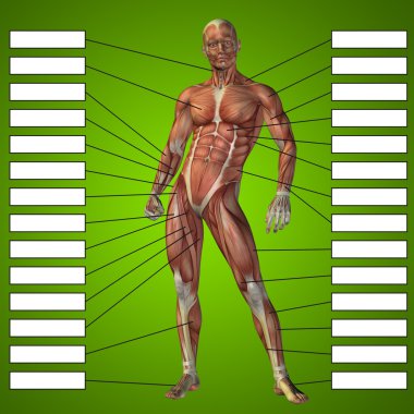 adam kasları ve metin kutuları