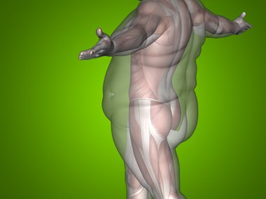  adam kilolu vs ince uygun 