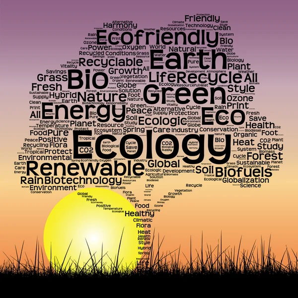 Ökológia szöveg szó felhő — Stock Fotó
