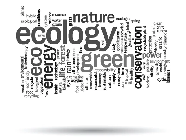 Ecologia parola testo nuvola — Foto Stock