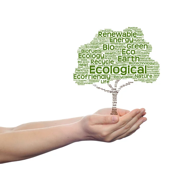 Nuvem de palavras de texto de ecologia — Fotografia de Stock