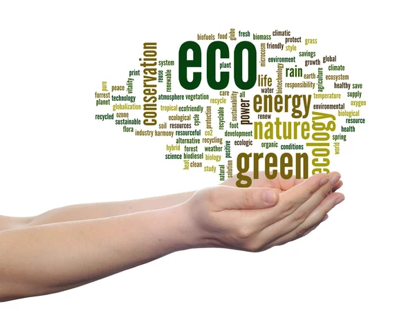 Ecologie word cloud-tekst — Stockfoto