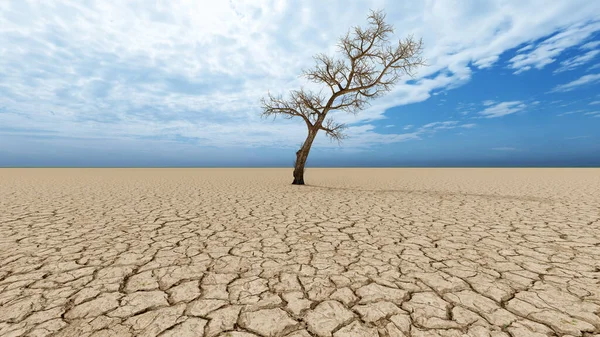 Concept or conceptual desert landscape with a parched tree as a metaphor for global warming and climate change. A warning for the need to protect our environment and future 3d illustration