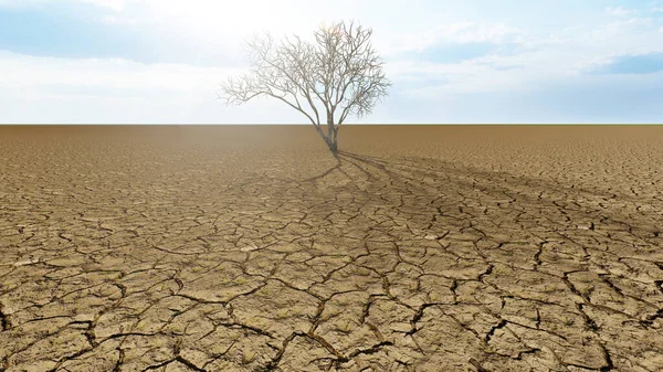 Concept or conceptual desert landscape with a parched tree as a metaphor for global warming and climate change. A warning for the need to protect our environment and future 3d illustration