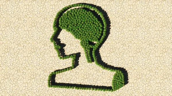 Concept or conceptual group of green forest tree on dry ground background, sign of  human brain.  A 3d illustration metaphor for science, intelligence, anatomy, neurology, brainstorming