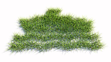 Kavramsal yeşil çimen sembolü, izole edilmiş beyaz arka plan, tekne simgesi. Gezi, turizm, tatil, dinlenme veya uluslararası sevkiyat için 3D illüstrasyon metaforu