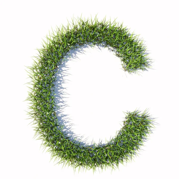コンセプトまたは概念的な緑の夏の芝生の草のシンボル隔離された白い背景は フォントC 春または夏のための3Dイラストメタファー — ストック写真