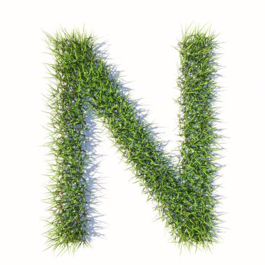 Kavramsal yeşil çimen sembolü beyaz arka plan, N yazı tipi. Doğa, koruma, organik, büyüme, çevre, ekoloji, ilkbahar ya da yaz için 3d illüstrasyon metaforu