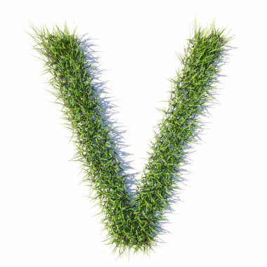 Kavramsal yeşil çimen sembolü beyaz arka plan, V yazı tipi. Doğa, koruma, organik, büyüme, çevre, ekoloji, ilkbahar ya da yaz için 3d illüstrasyon metaforu