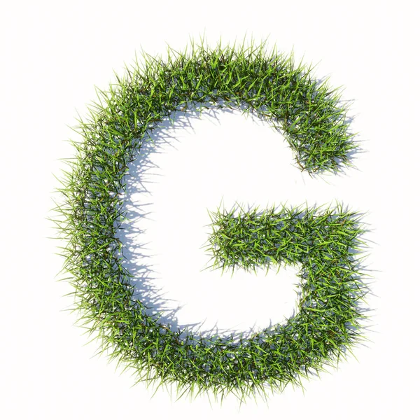 Concept Conceptuele Groene Zomer Gazon Gras Symbool Geïsoleerde Witte Achtergrond — Stockfoto