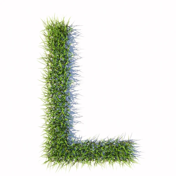 Concept Conceptual Green Summer Lawn Grass Symbol Isolated White Background — Stock Photo, Image