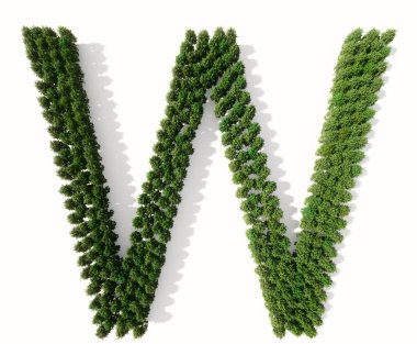 Beyaz zemin üzerinde izole edilmiş yeşil orman ağacı kavramsal veya kavramsal grubu, doğa, koruma, küresel ısınma, çevre, ekoloji, iklim, ilkbahar veya yaz için W. D yazı tipi metaforu