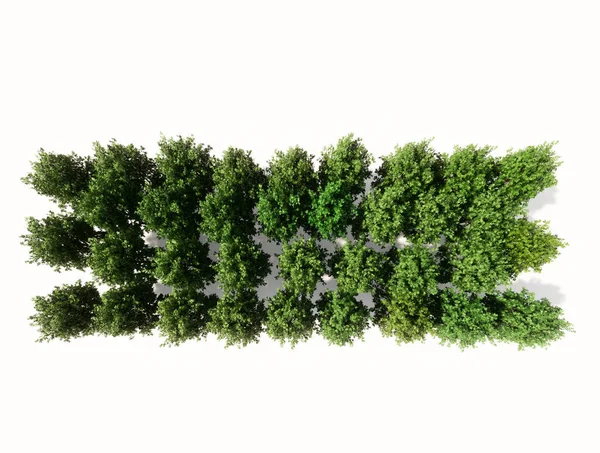 绿色森林树的概念或概念群 在白色背景下隔离 减去符号 3D自然 全球变暖 春天或夏天的隐喻 — 图库照片