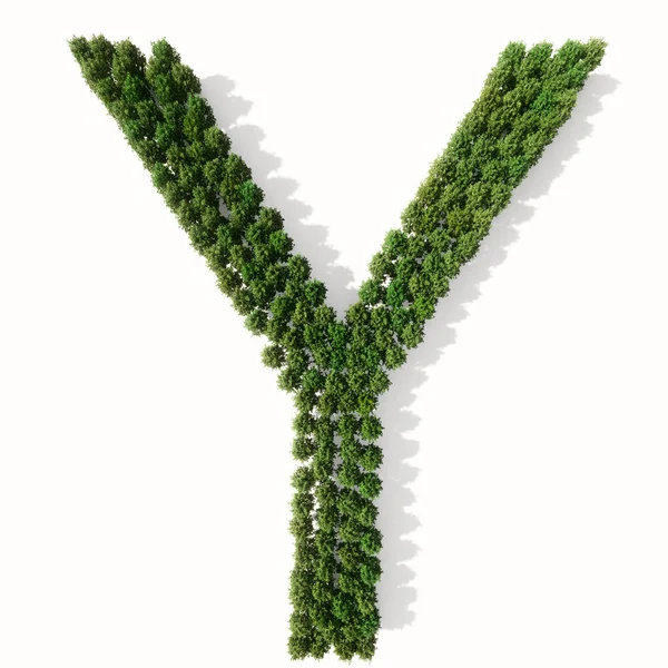 Concept Conceptuele Groep Van Groene Bosboom Geïsoleerd Witte Achtergrond Het — Stockfoto