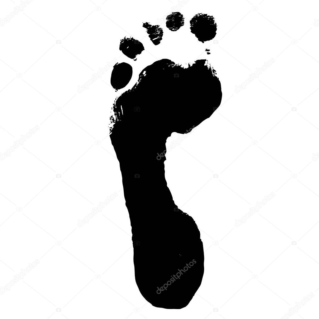 Concept or conceptual black paint human foot or footprint isolated on white background. A 3d illustration metaphor for education, art, nature, health, environment, footprint and climate change