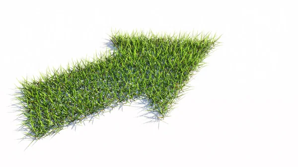 Concept Conceptual Green Summer Lawn Grass Symbol Shape Isolated White — Stock Photo, Image