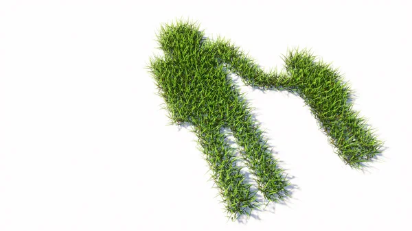 Konzept Oder Konzeptionelle Grüne Sommerrasen Gras Symbol Isoliert Weißen Hintergrund — Stockfoto
