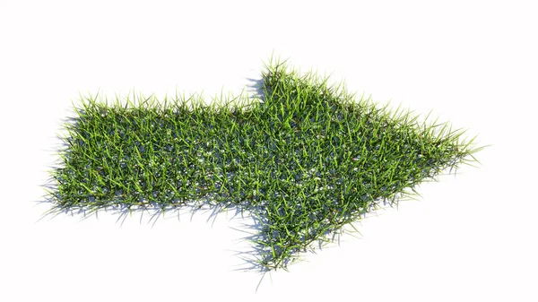 Koncepcja Lub Konceptualny Zielony Letni Trawnik Trawnik Symbol Kształt Odizolowane — Zdjęcie stockowe