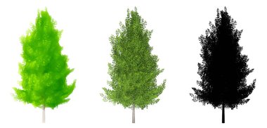 Eagleston Savannah Holly ağaçlarının seti veya koleksiyonu, beyaz arka planda siyah bir siluet olarak resmedilmiş. Doğa, ekoloji ve koruma, güç, dayanıklılık ve güzellik için kavramsal ya da kavramsal 3D illüstrasyon