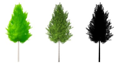 Eagleston Savannah Holly ağaçlarının seti veya koleksiyonu, beyaz arka planda siyah bir siluet olarak resmedilmiş. Doğa, ekoloji ve koruma, güç, dayanıklılık ve güzellik için kavramsal ya da kavramsal 3D illüstrasyon