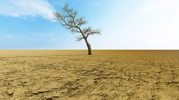 地球温暖化と気候変動のメタファーとして 木に囲まれた概念的または概念的砂漠の風景 環境と将来の3Dイラストを保護する必要性への警告 — ストック写真