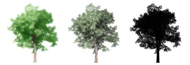 Mavi Sakız ağaçlarının seti ya da koleksiyonu, boyanmış, doğal ve beyaz arka planda siyah bir siluet olarak. Doğa, ekoloji ve koruma, güç, dayanıklılık ve güzellik için kavramsal ya da kavramsal 3D illüstrasyon