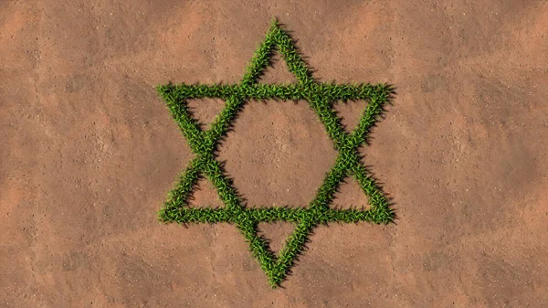 Concept conceptual green summer lawn grass symbol shape on brown soil or earth background, sign of religious hebrew David star. 3d illustration metaphor for Judaism, Israel, religion, prayer, belief