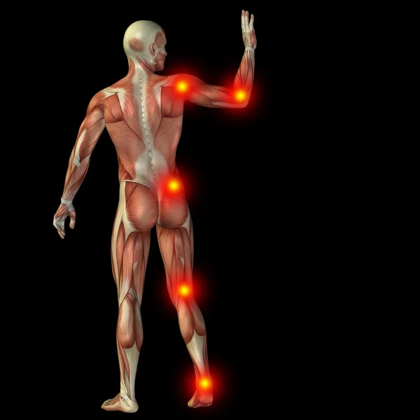 शारीरिक डिजाइन के लिए मांसपेशियों के साथ आदमी — स्टॉक फ़ोटो, इमेज