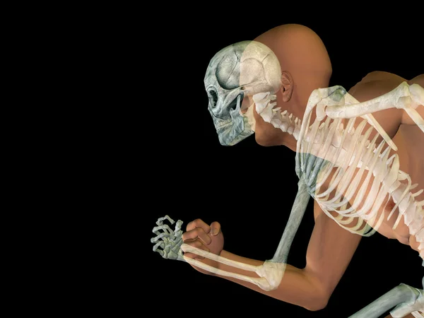 Anatomia 3D umana con ossa — Foto Stock