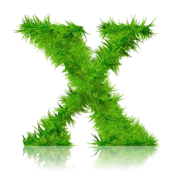 Ensemble conceptuel d'herbe verte — Photo