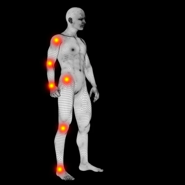 Anatomia umana 3D concettuale — Foto Stock