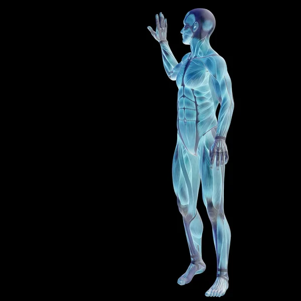 3D humano com músculos — Fotografia de Stock