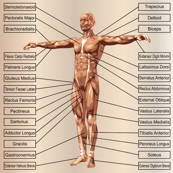 Conceptuele 3D-man — Stockfoto