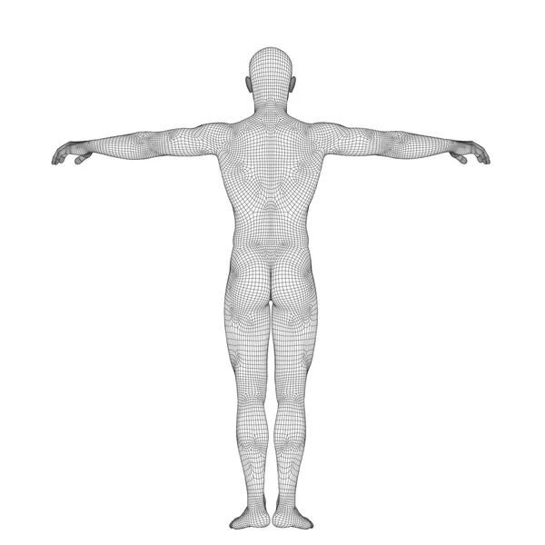 Wireframe umano 3D — Foto Stock
