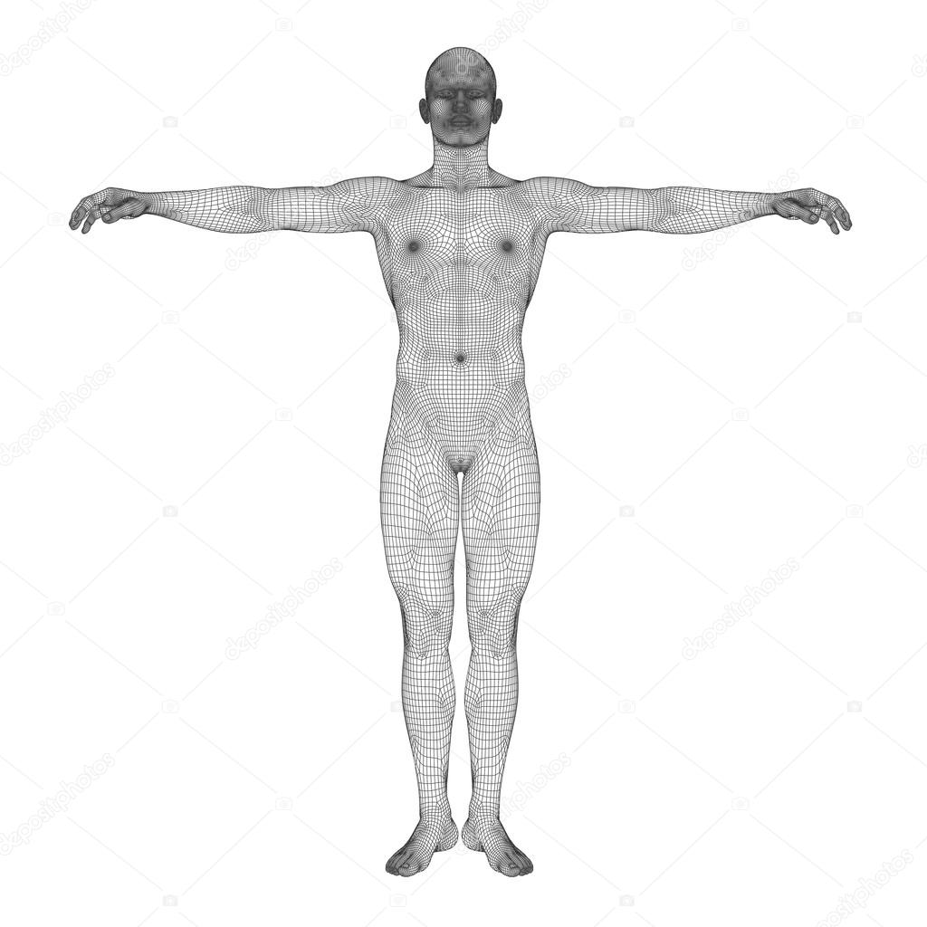 3D human made of black  wireframe