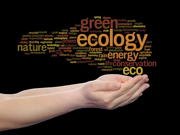 Ecologia, conservação nuvem de palavras — Fotografia de Stock